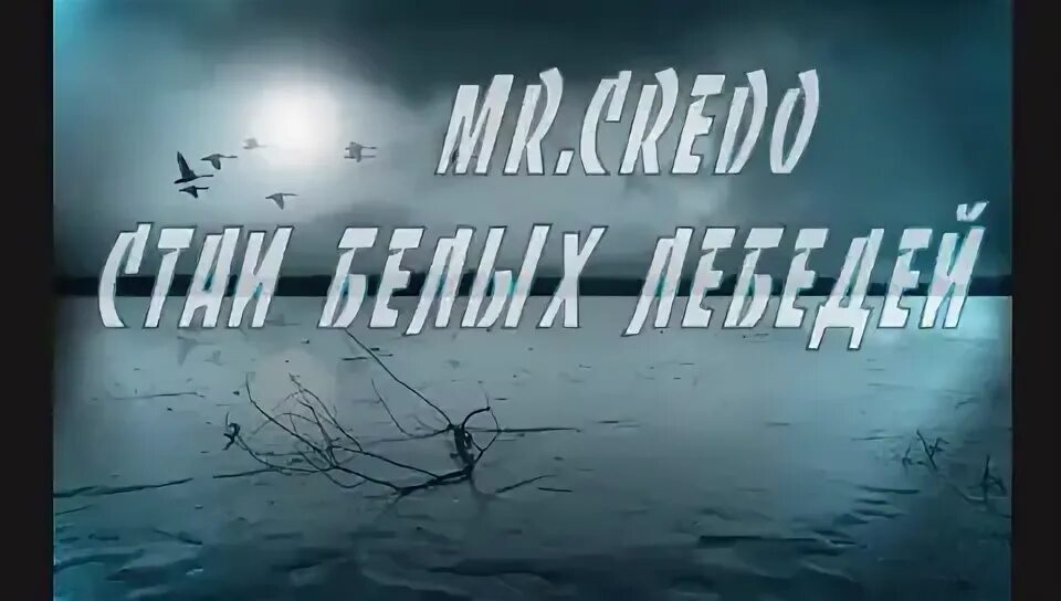 Мистер кредо стая белых лебедей. Мистер кредо 1995. Стая белых лебедей летят на юг. Кассета mr credo. Mr credo стаи белых лебедей.