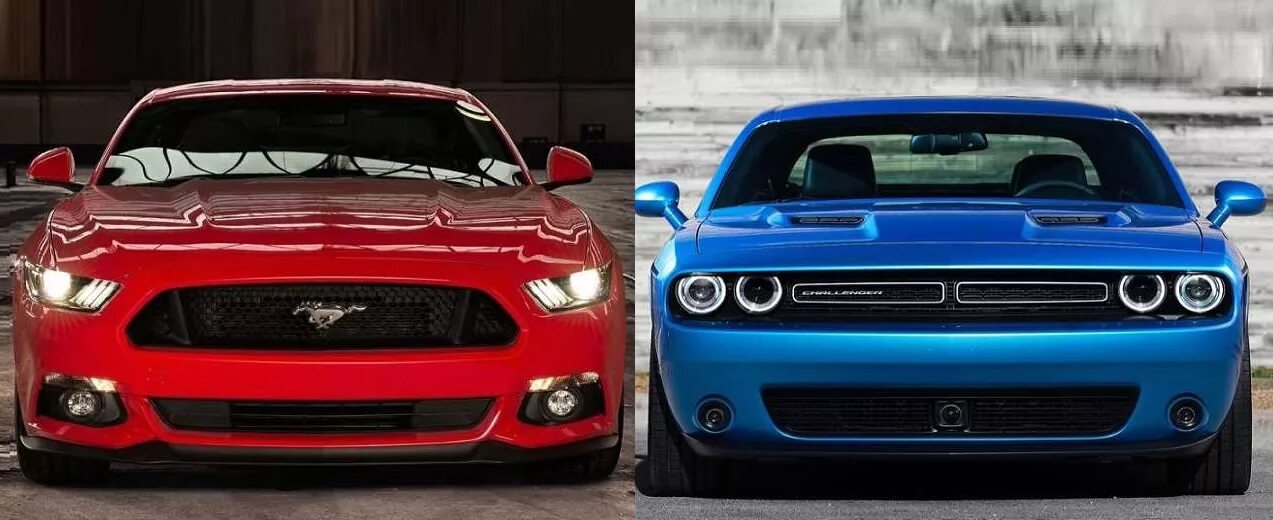 Похож на мустанг. Форд Мустанг vs dodge Challenger. Форд Мустанг Додж. Форд Мустанг Челленджер. Форд Мустанг dodge Challenger.