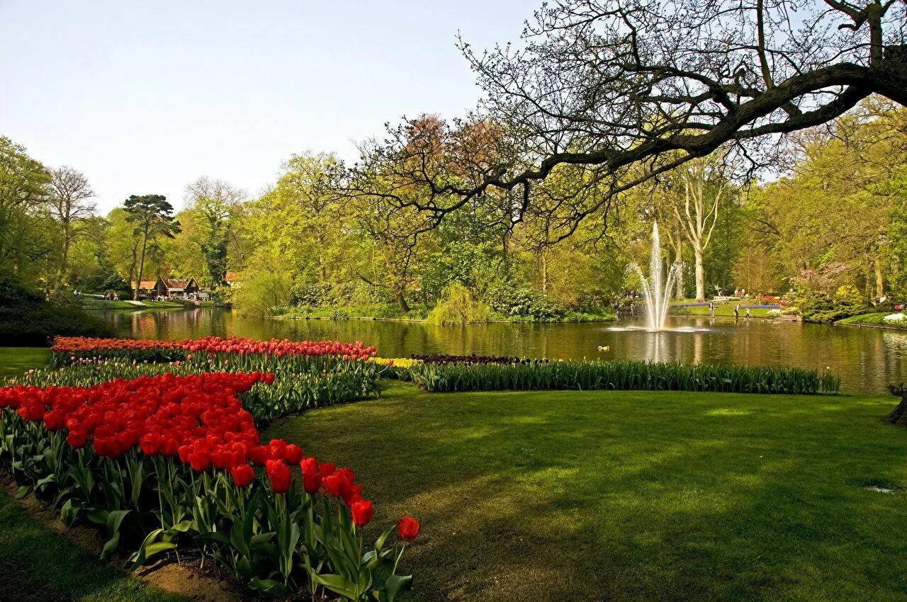 Список садов и парков. Парк «Кекенхоф» (Keukenhof) летом. Петергоф парк. Кёкенхоф Нидерланды парк тюльпанов. Парк «сады Принсес-стрит».