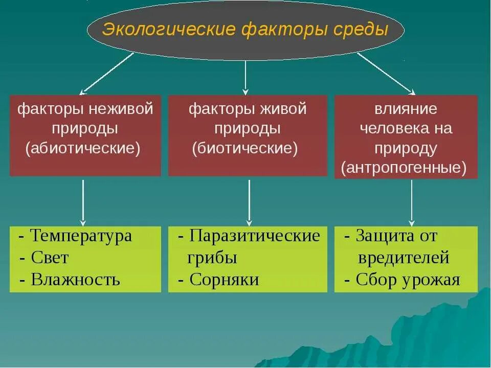 Три фактора окружающей среды