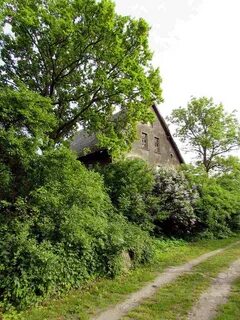 Рыбачий коса
