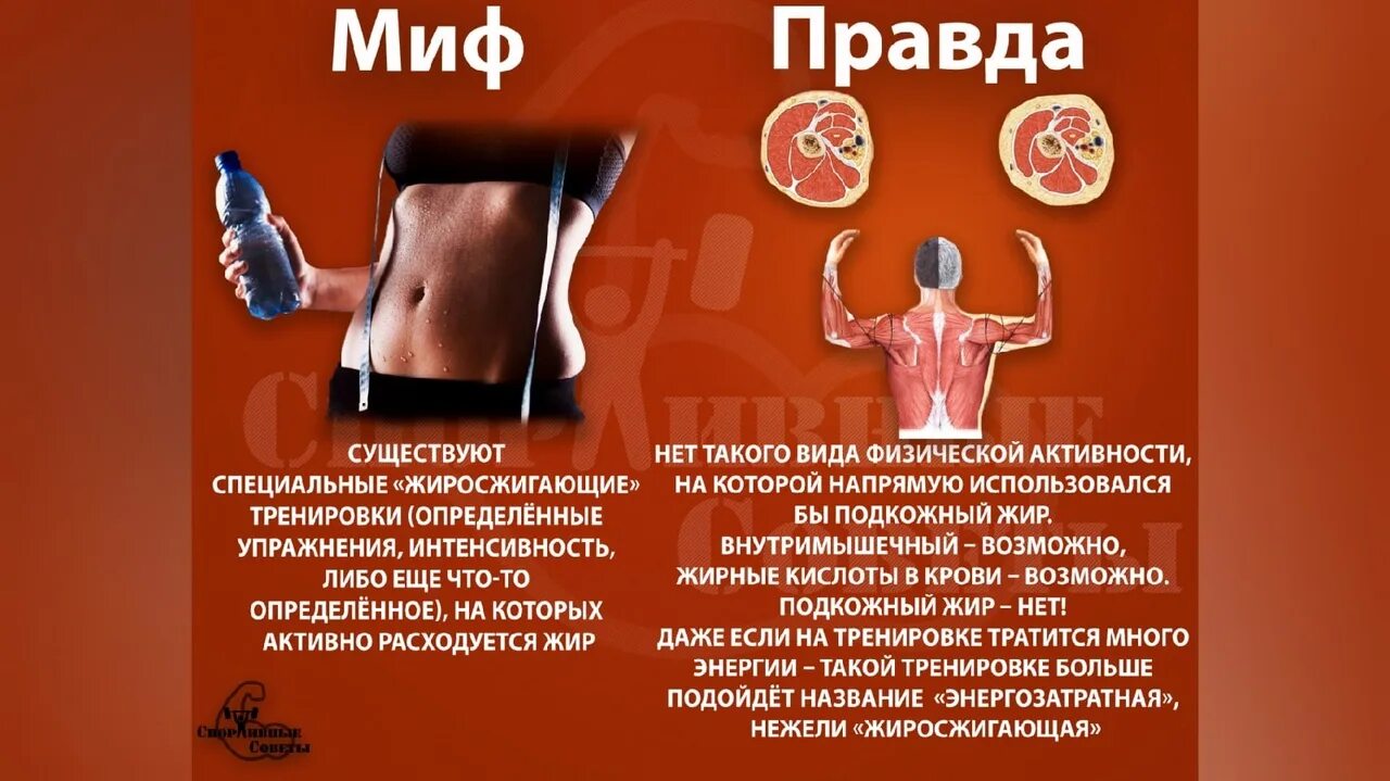 Специи для похудения сжигающие жир список лучших. Продукты сжигающие жир. Сжигатель жира на животе. Продукты которые ешь и худеешь. На ночь белок сжигает жир правда.