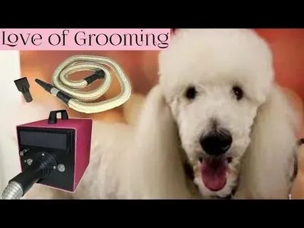 Fruit of the groomer