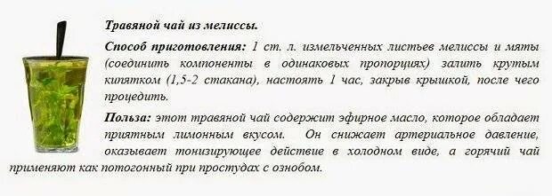 Со скольки лет детям можно пить чай. Мелисса чай чем полезен. чай с мятой и мелиссой чем полезен. чай с мелиссой польза и вред. зелёный чай с мелиссой чем полезен.