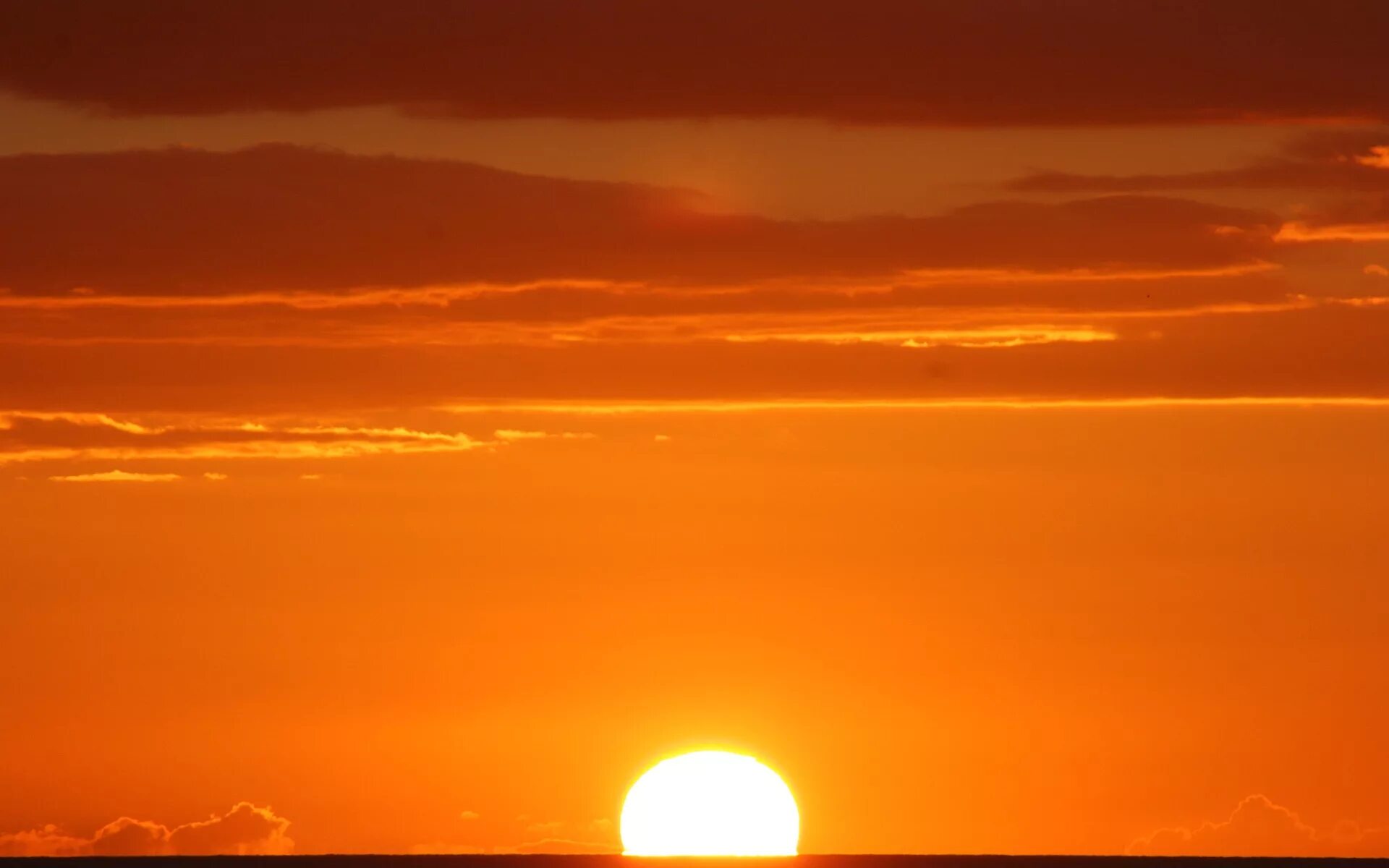 Фон Sunrise. Солнце обои. Оранжевое небо оранжевое море. Картина солнце.