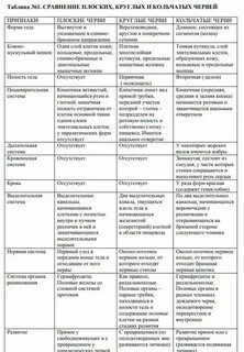 Характеристика червей плоские круглые кольчатые