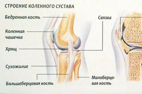 Коленных чашечек хруст усилился стократно песня