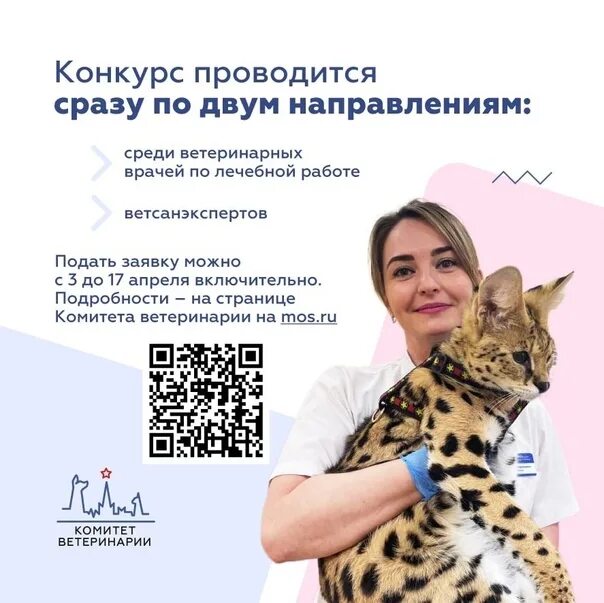 Ветеринар диетолог. Ветеринар диетолог. Клиника доктор вет смоленск. Ветеринарная клиника доктор вет саяногорск. Ветеринар диетолог.