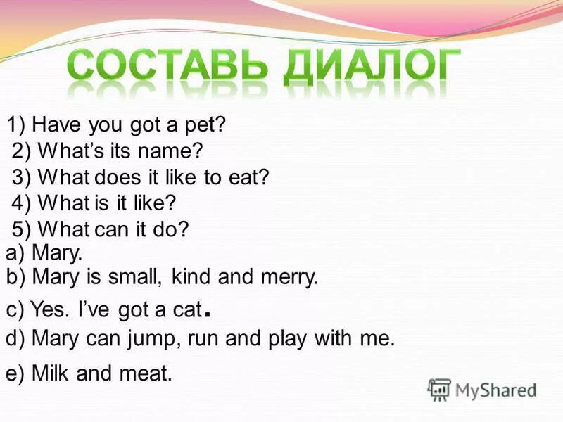 Who likes what. Ответ на вопрос have you got a Pet. Вопросы have you got. Вопросы с have you. Have you got ответ на вопрос.