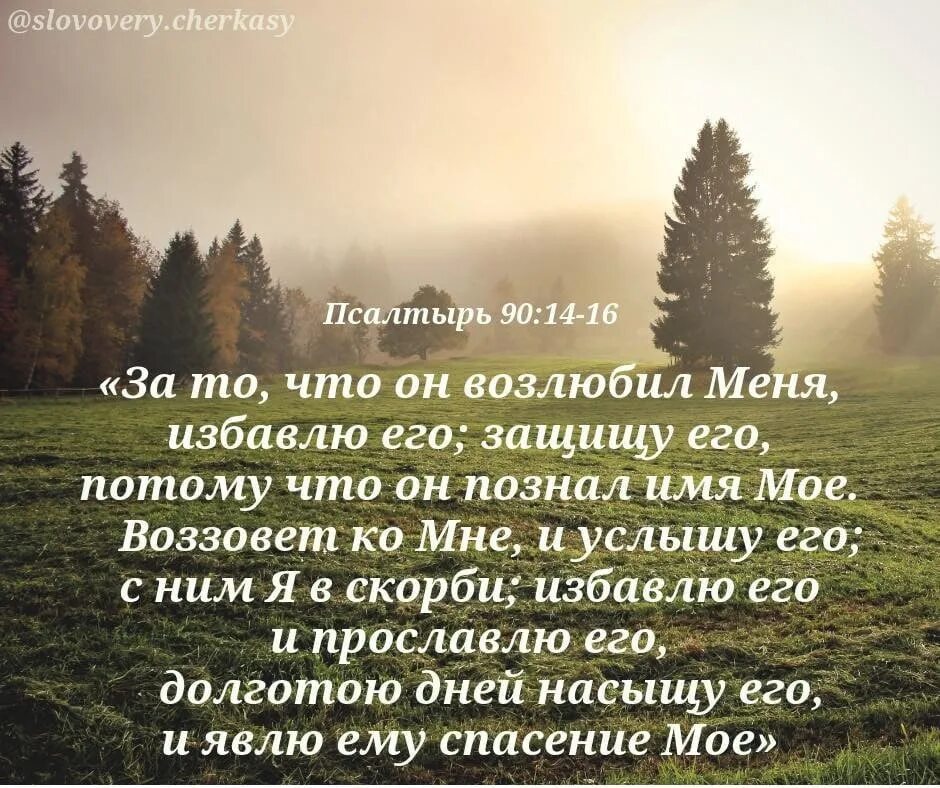 Псалом 3 толкование. Стихи из Библии. Слова из Библии. Христианские стихи из Библии. Библейские стихи из Библии.