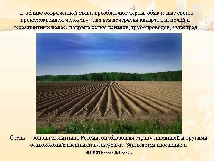 В зоне степей преобладают. Почему в степях погибает много птиц. В зоне степей преобладают. В зоне степей преобладают. Хозяйственная деятельность человека в степи.
