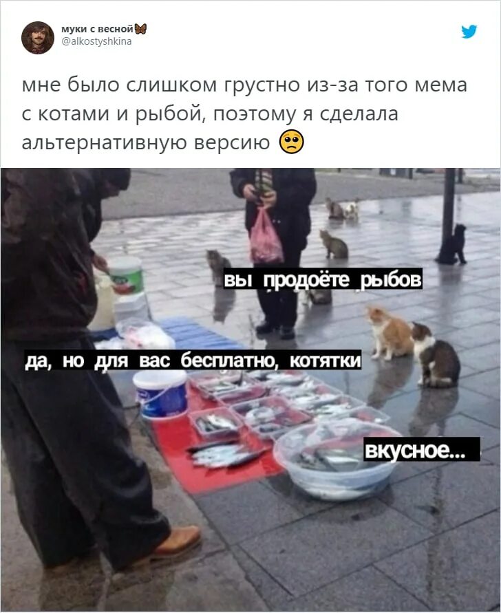 Мемы с рыбой и котиками продаете. Мем про Рыбов. Мем про кота и рыбу. Вы Рыбов продаете Мем. Продаете показываем красивое