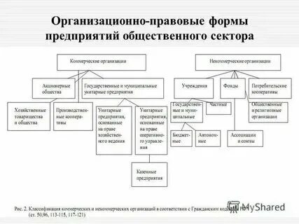 Примеры организационно правовых форм предприятий Картинки УПРАВЛЕНИЕ ОРГАНИЗАЦИЯМИ РАЗЛИЧНЫХ ОРГАНИЗАЦИОННО ПРАВОВЫХ ФОРМ