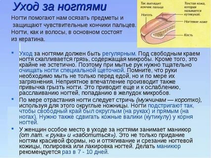 Гигиена биология 8