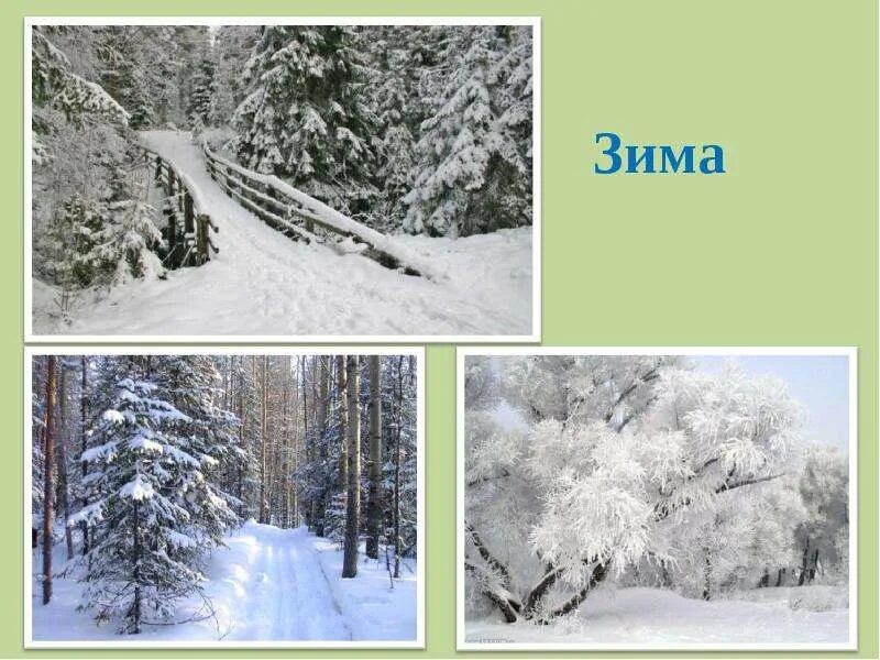 Изменения февраля. Зима изменения в природе. Сезонные изменения зима. Сезонные изменения в природе зимой. Зимние явления в живой природе.