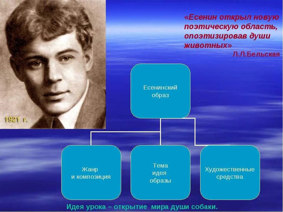 Есенин главные произведения. Кластер жизнь и творчество Есенина. Есенин Жанры. Кластер про Есенина.