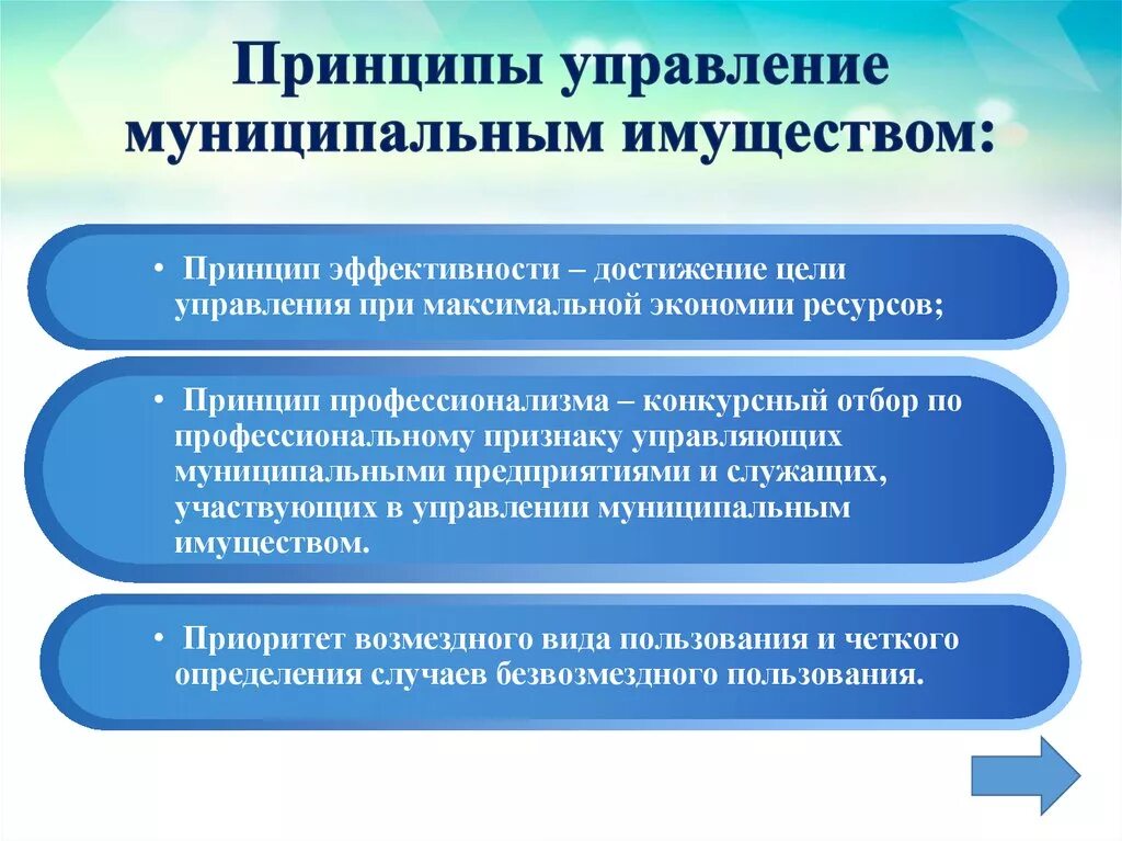 Реализация муниципального имущества. Принципы управления муниципальной собственностью. Принципы управления управления. Принципы и методы управления муниципальной собственностью. Управление муниципальным имуществом.