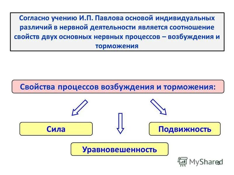 Основа индивидуальных различий