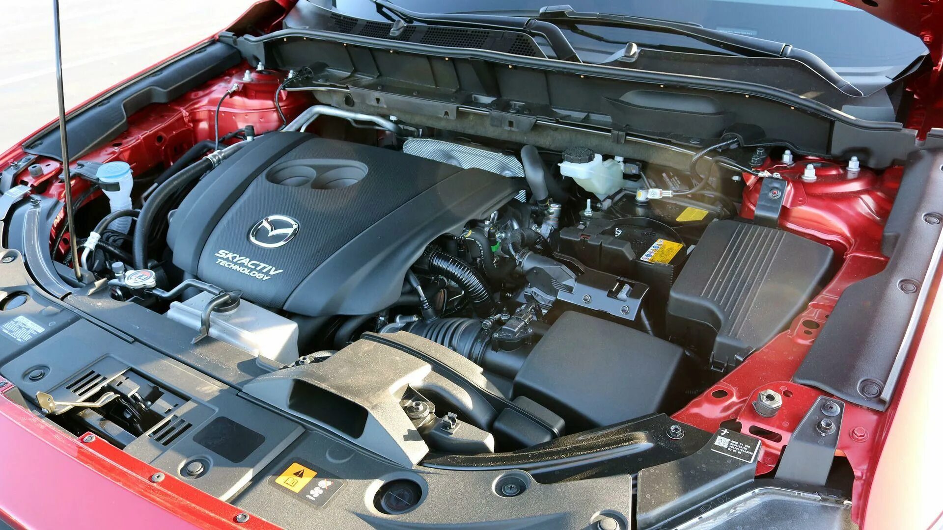 Моторное 2017