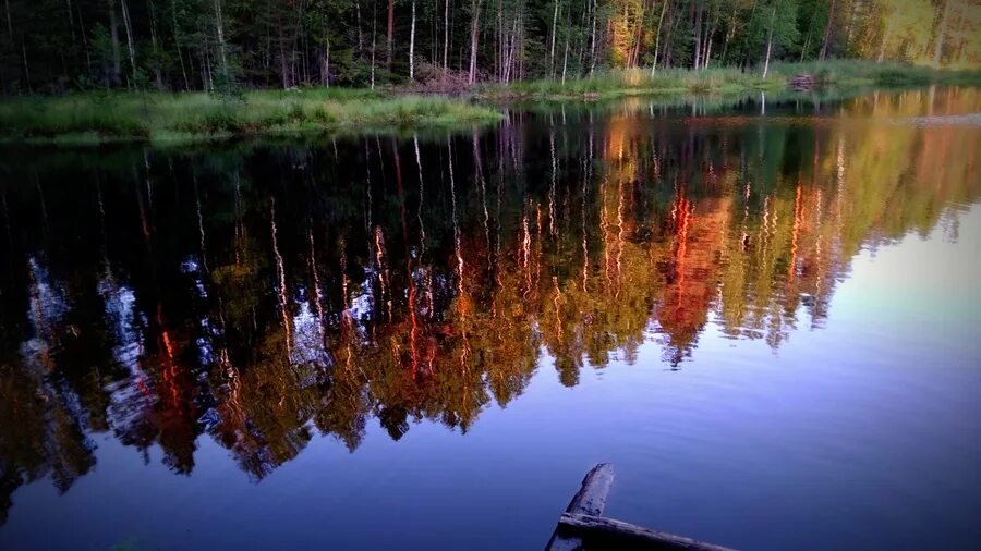 Барковское озеро ленинградская область. Озеро черное ломоносовский район. Медное озеро пляж ленинградская область. Река широкая рощино. Днп солнечный берег выборгский район.