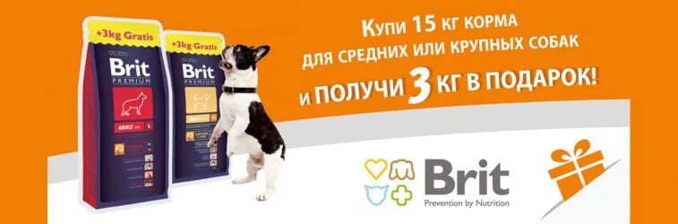 Брит для собак 15 кг. Brit Premium акция 15+3 кг для собак. Брит для собак крупных пород. Brit для собак средних пород 15 кг. Корм Брит для собак крупных пород 15 кг.
