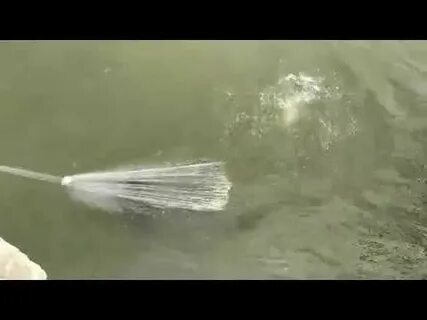 Ловля на кастинговую сеть видео
