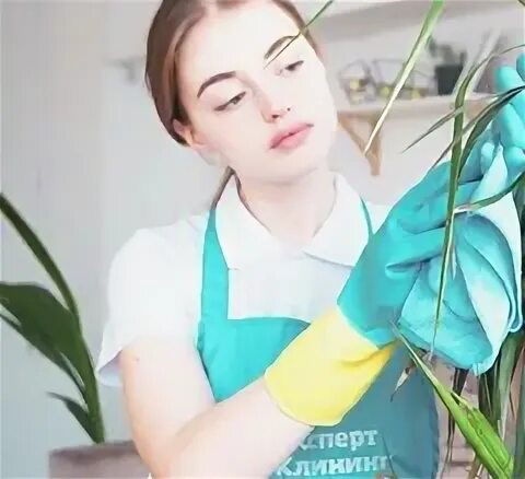 Работа уборщицей курск моя реклама