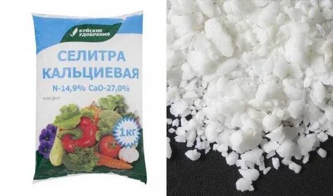 Вторая подкормка чеснока. Агрикола для чеснока. Можно ли подкормить чеснок кальциевой селитрой весной. Удобрение для чеснока весной желтеют листья. Кальциевая селитра удобрение.