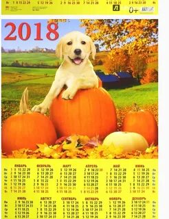 Год какой собаки 2018 году