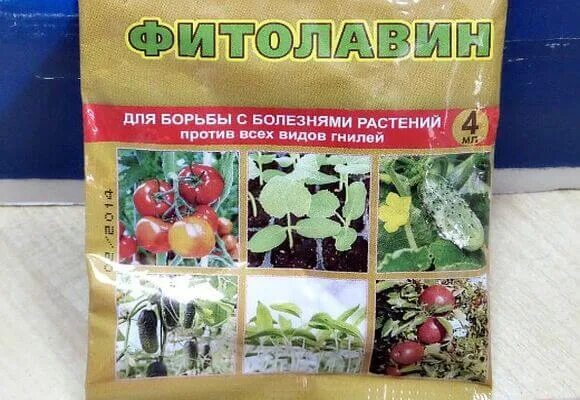 Препарат от гнили плодов. Препарат от гнили плодов. Препарат от гнили плодов. Препараты от болезней плодовых. Препараты от болезней ягодных культур.