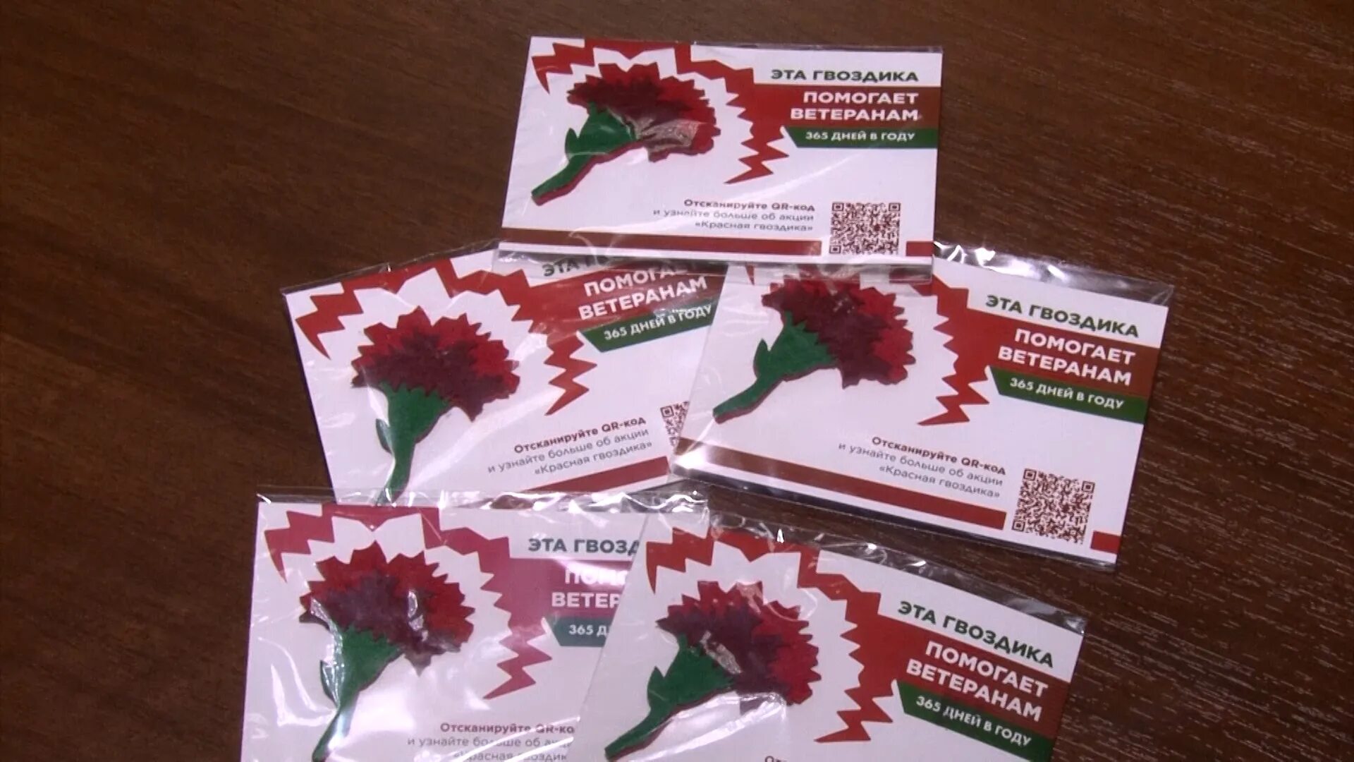 Dianthus red гвоздика. гвоздика одноголовая красная. гвоздика селект красная. гвоздика селект красная. красная гвоздика.