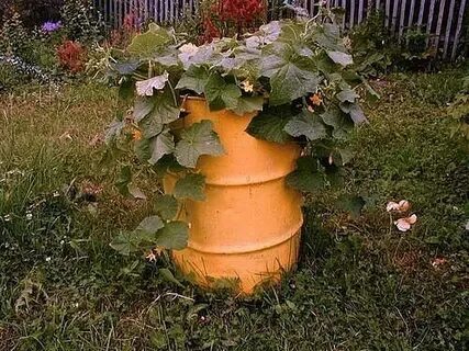 Приспособления для тыквы