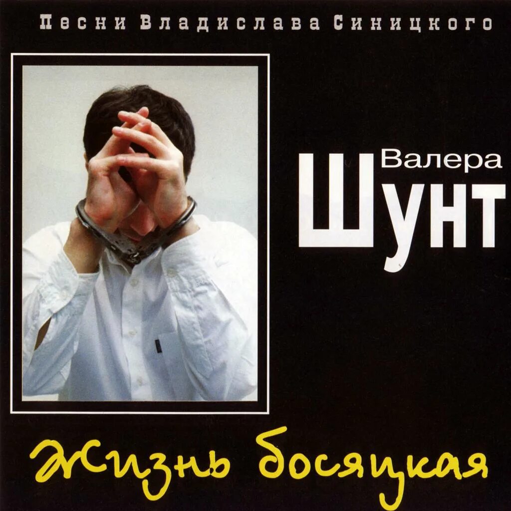 Шунт mp3