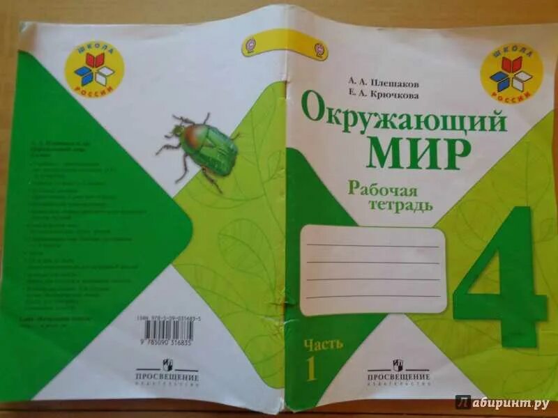 Рт стр 12