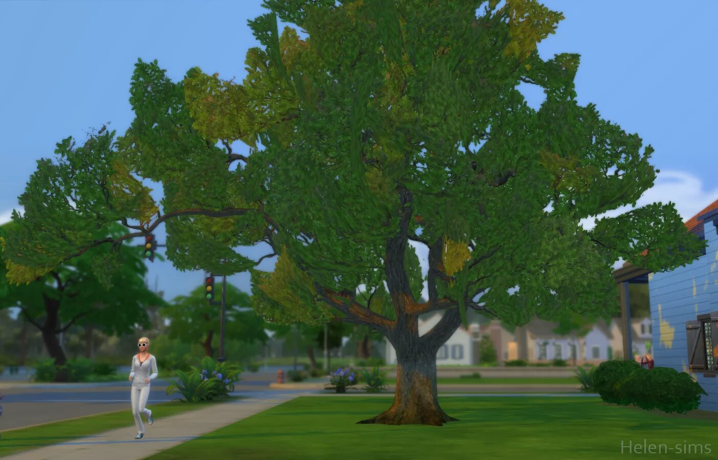Sims 4 tree. Sims 4 trees. симс 4 деревья. хелен симс. симс 4 дерево хелен.