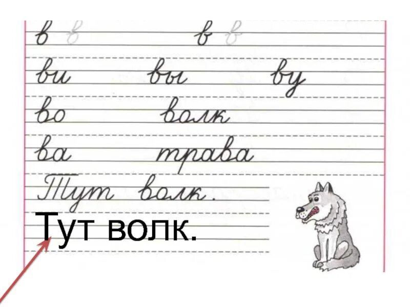 Слова вписывай строчными буквами и без точек. Прописи. Буквы. Прописи 1 класс. Прописи слоги. Письмо буквы а.