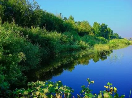Город вель