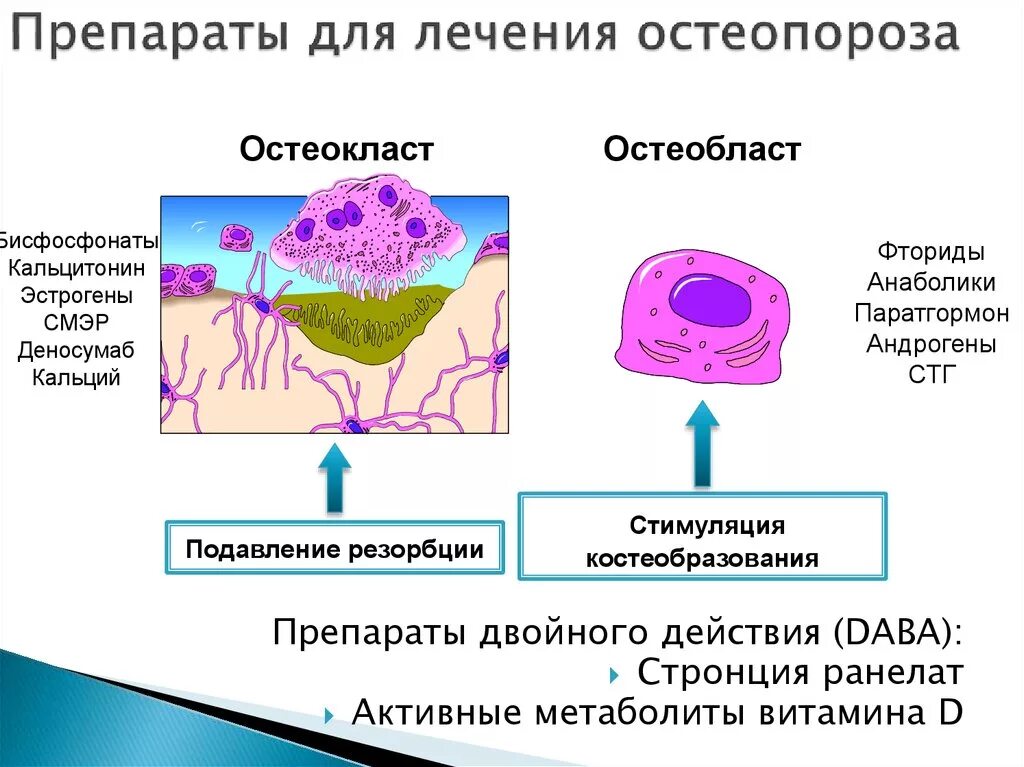 Лечение остеопороза препараты лучшие безопасные. Препараты для лечения остеопороза. препараты для лечения остео. препараты для терапии остеопороза. средства для лечения остеопороза классификация.