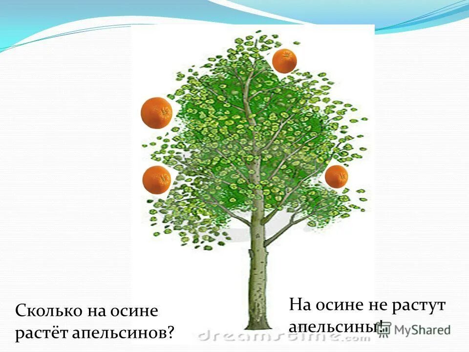 Пословица от Осинки не родятся апельсинки. На осине не растут апельсины. От Осинки апельсинки. На осине растут апельсины рисунок.