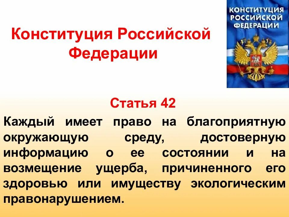 Российской федерацией разрешено. Ст 42 Конституции Российской Федерации. Статьи Конституции. Статья 42 Конституции РФ. Части Конституции РФ.