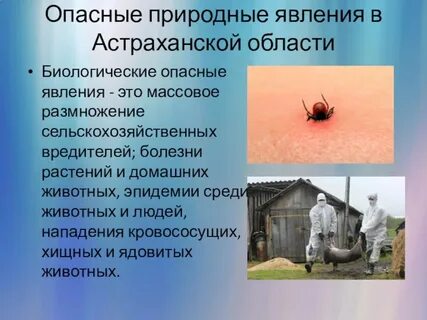 Опасное биологическое явление