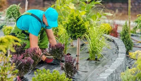 Sustainable Landscaping in Dubai