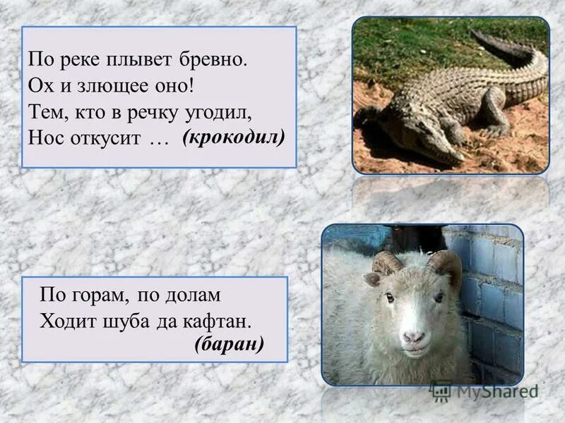 загадки про животных из красной книги