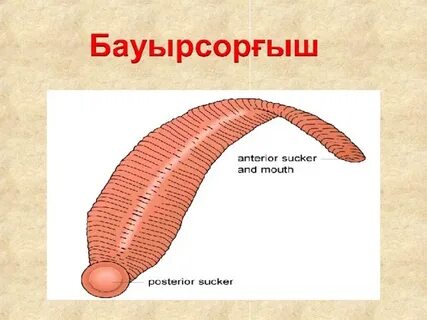 Воронин порно видео (барлық эпизодтар)