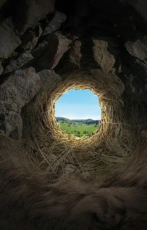 Path portals