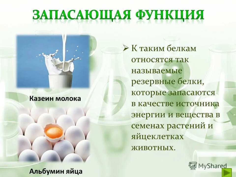 классификация белков сложные белки. таблица продуктов питания жиры белки углеводы. какие вещества относятся к белкам. белок альбумин функция запасающая. жиры белки углеводы в продуктах таблица.