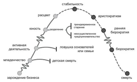 Цикл адизеса