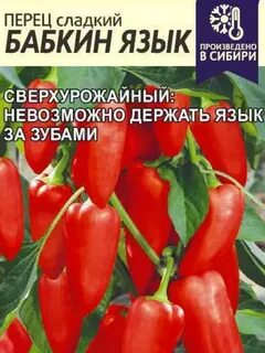 Перец бабкин язык