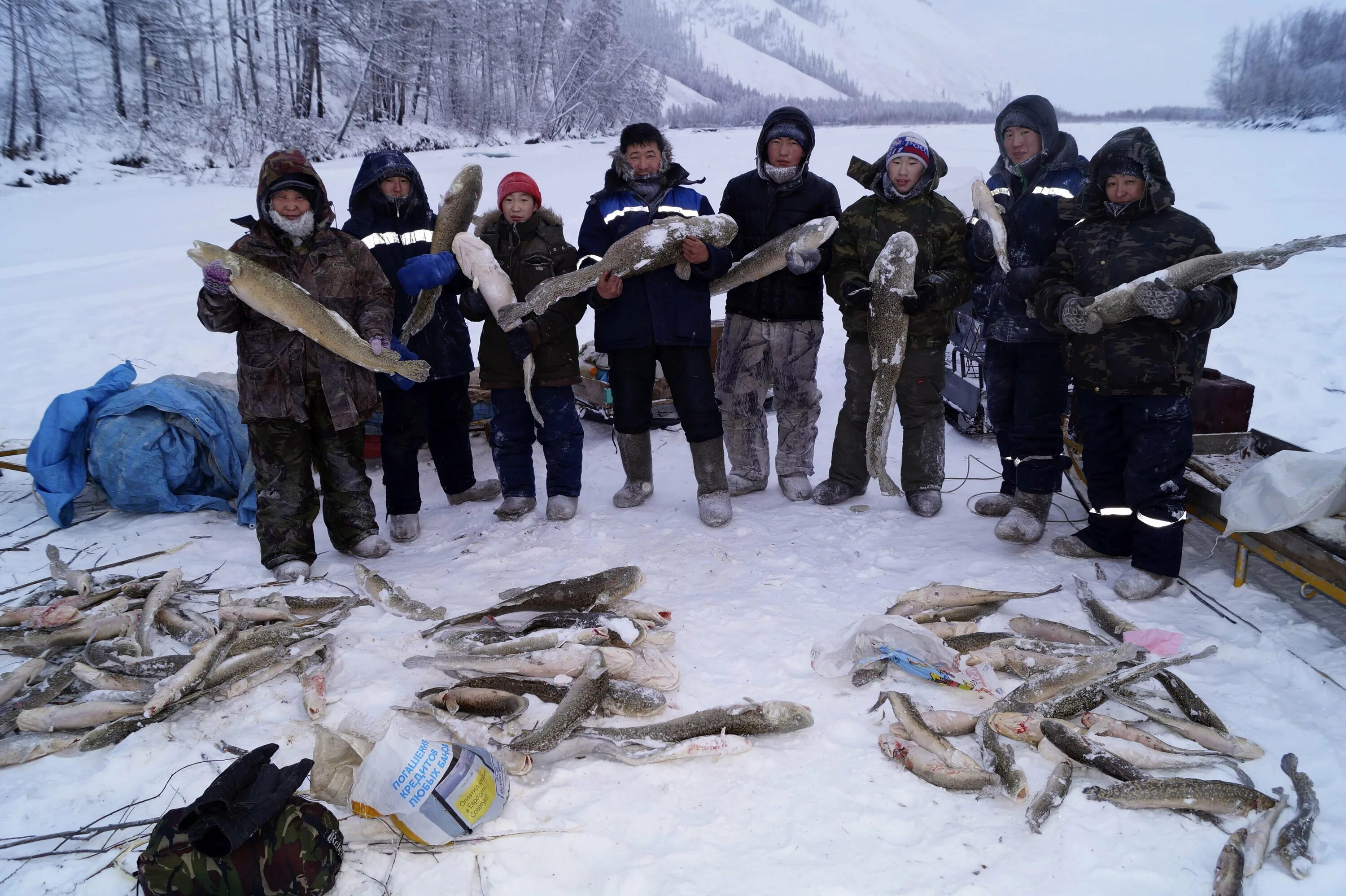 Где добыть рыбу. Томбойто Ямал озеро. Зимняятз рыбалка вякуьтии. Зимняя рыбалка в Якутии. Зимняя рыбалка в якутти.