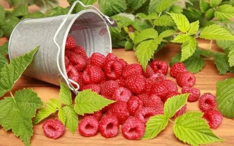 Как можно использовать малину